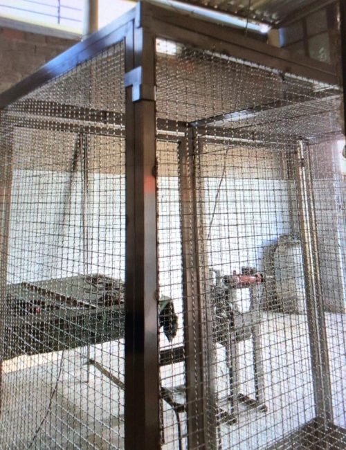 WhatsApp Image 2025-10-08 at 17.04.07 (1)